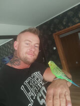 Photos Niemowzbytwiele