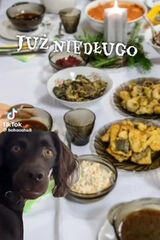 Benutzerfoto ppp27131