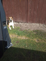 Photos kryptonimze00