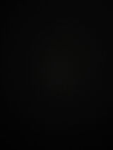 Benutzerfoto Daniello1995