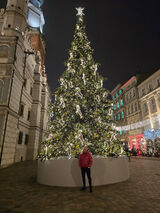 Фото користувача andyyyy