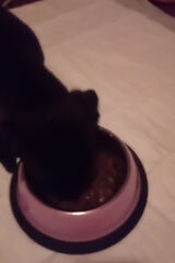 Benutzerfoto kamilawikarska024