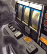 Фото користувача WyLA