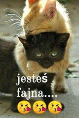 Фото користувача Zuzanna20088