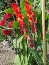 Фото користувача dariuszhulka907