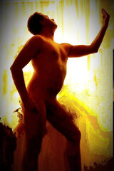 Benutzerfoto StillnesWolf