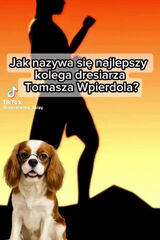 Фото користувача PrzemyslawNowak7