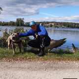 Benutzerfoto MattB86