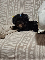 Zdjęcie użytkownika cher1909