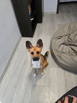 Фото користувача patricky94