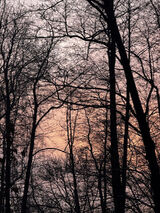 Фото користувача linakraevska16