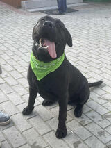 Фото користувача StepGamer