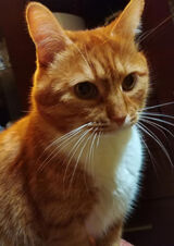 Фото користувача blackiee