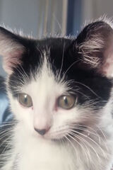 Benutzerfoto Niggaman