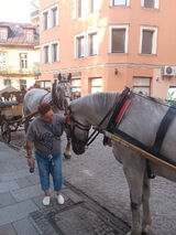 Benutzerfoto agnieszkagoralsk51