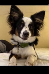 Фотография пользователя francoispion614