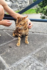 Фотография пользователя pokenord1