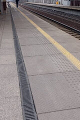 Benutzerfoto Lapkakocha124