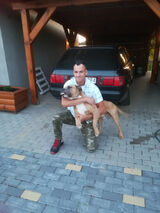 Фото користувача audi100s4