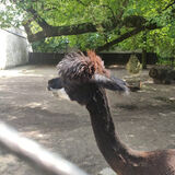 Фото користувача pankracy85m