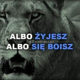 Фотография пользователя dlukasz349