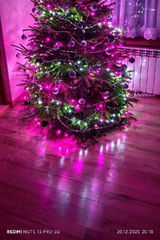 Фото користувача Pawel0887