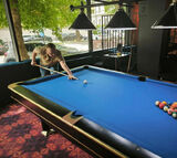 Foto pengguna patricky94