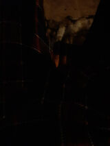 Фотография пользователя JuriD