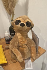 Benutzerfoto grzesiekjakubiec18