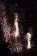 Foto pengguna michalstanke87