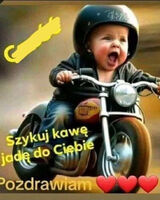 Foto pengguna pirkarus