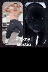 Foto pengguna RonewiczS