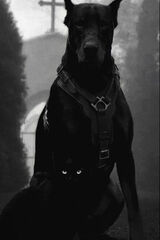 Foto pengguna marekdym0