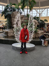 Photos weronikazelazo3