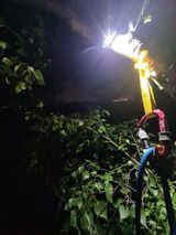 Photos Rafalzkosmosu