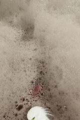 Benutzerfoto Majkel888