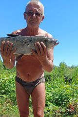 Фотография пользователя kordek1960