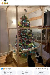 Foto pengguna Miastow