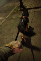 Foto pengguna arek1998w