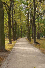 Фотография пользователя bouchibanekadir114