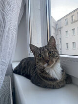 Photos Mariusz9595420