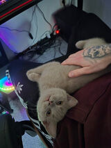 Foto pengguna Olixx99