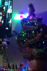 Photos bajdortomasz911