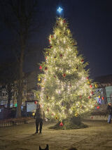 Foto pengguna rometyogi