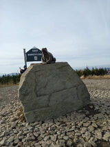 Photos MalaMiPlusSize