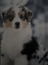 Фото користувача Hothot18