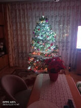 Foto pengguna MaRcIn8999