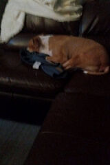 Zdjęcie użytkownika biedrawamarek