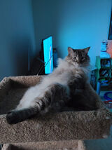 Фотография пользователя Artssa