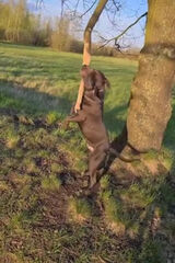 Фотография пользователя Romance13